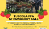THS FFA Strawberry Sale